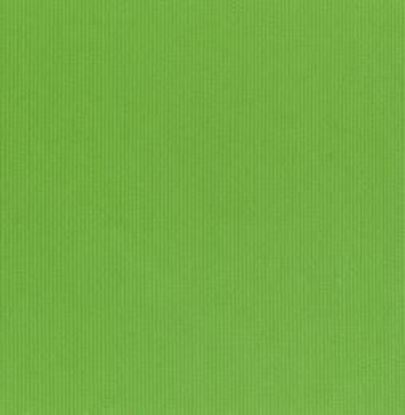 Picture of Fine Wale Pique Apple Green