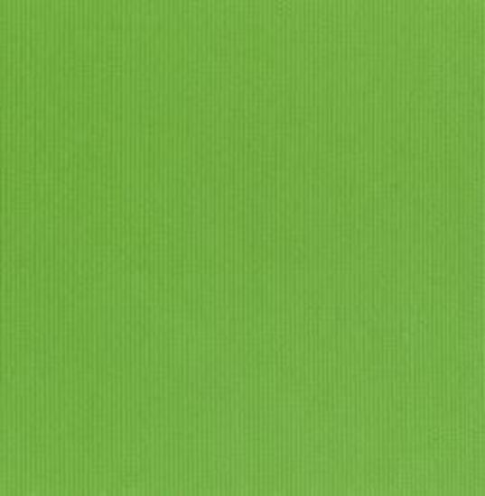 Picture of Fine Wale Pique Apple Green