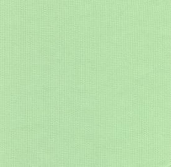 Picture of Fine Wale Pique Mint 100% Cotton 60" wide